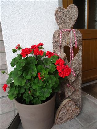 Herzbrett mit Blumen 2475x3300