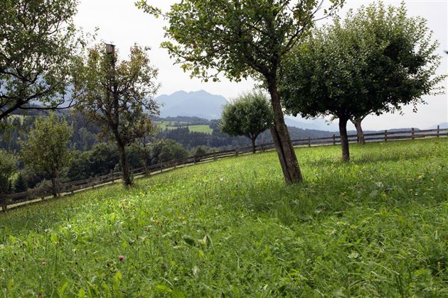 Hof Lettenbichl Sommer