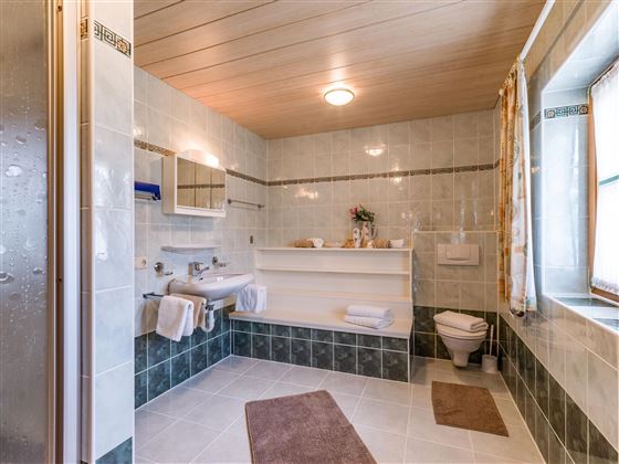 Hofbauer_Dorfplatz_6_Itter_06_2020_Ferienwohnung_B