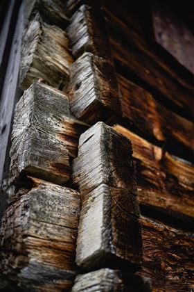 Holz by Florian Lustig (Purefilms)