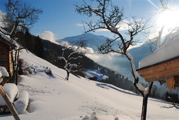 Hopfgarten_Siedlerhof_Winter
