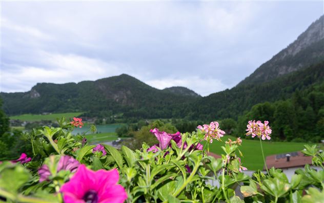 hote-seethaler.com-Panoramablick-29