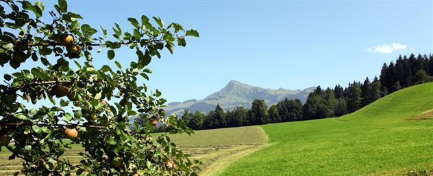 Hotel-Klausen-Hauser-Andreas-Klausen-8-Kirchberg-S