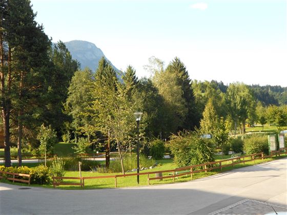 Hotel Schermer Bad Häring Aussicht zum Kurpark