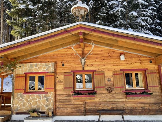 Hütte Waldzeit