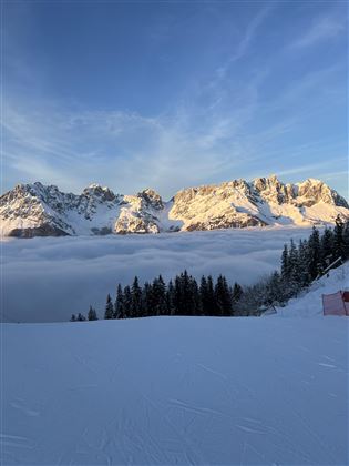 IMG_1018