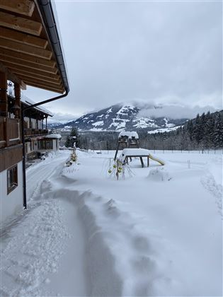IMG_1394