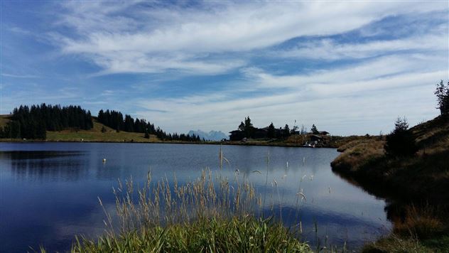 IMG-20160928-WA0003