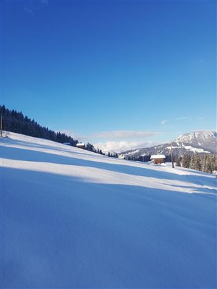 IMG_20190129_145330