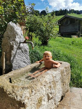 IMG_20200816_143653