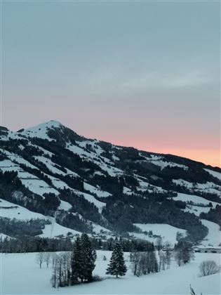 IMG_20210128_073856