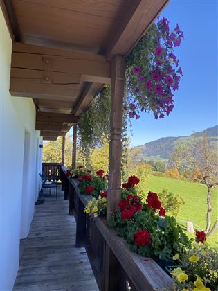 IMG_6541