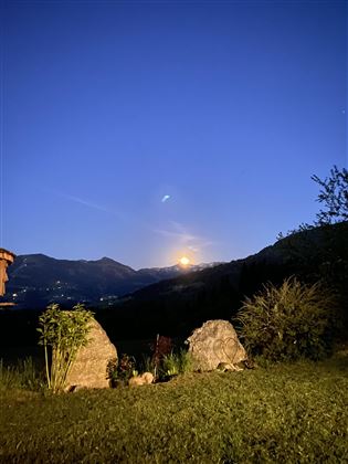 IMG_8815