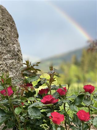 IMG_8861