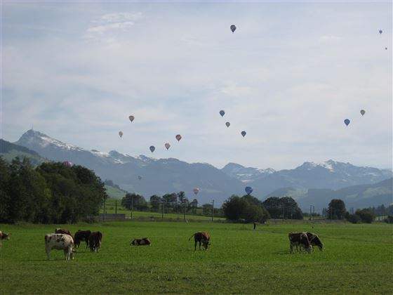 jpg.ballonwoche