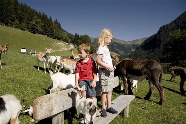 KAM_000702_zwei-Kinder-stehen-auf-einer-Sitzbank_F