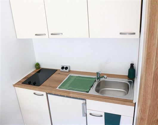 Küchenzeile mit Kochfeld und Kühlschrank