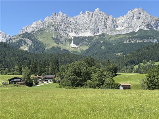 Landhaus Straif und Haidhof im Juni