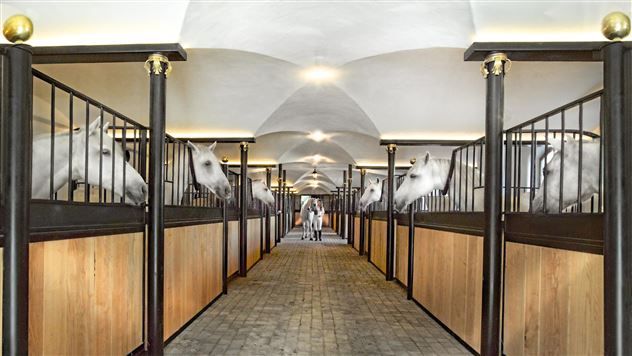 Lipizzaner-Reitstall Stanglwirt