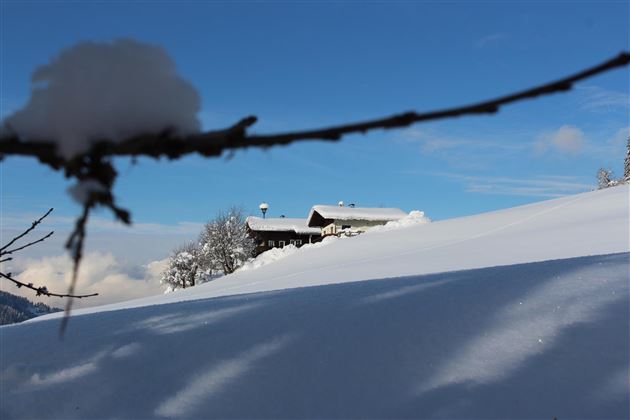 Mödlinghof Winter