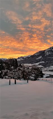 Morgenzauber