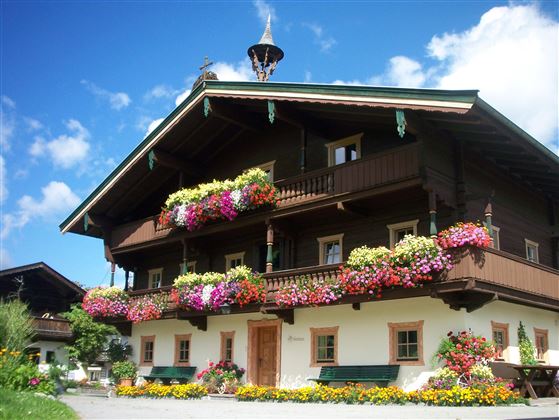 Obertann Sommerfoto