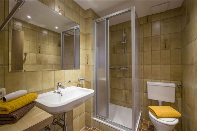 Obinghof_Dorfbichl_36_Soell_Zimmer_11_Badezimmer
