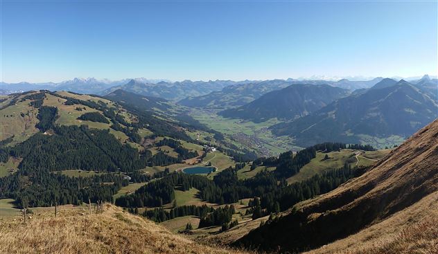 Panorama
