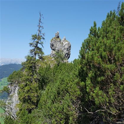 Panorama-4