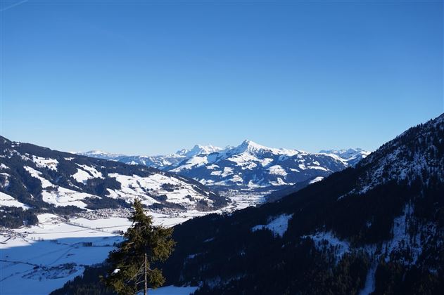 Panorama