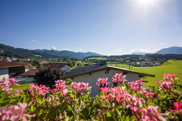 Panoramic view