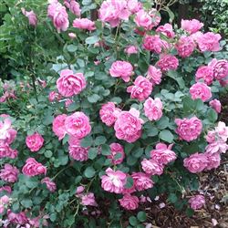20150610_174843[1]
