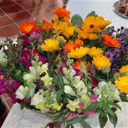 Blumen