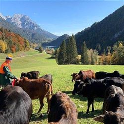 Heimatleuchten_WilderKaiser_03_c_ServusTV_Suedkino