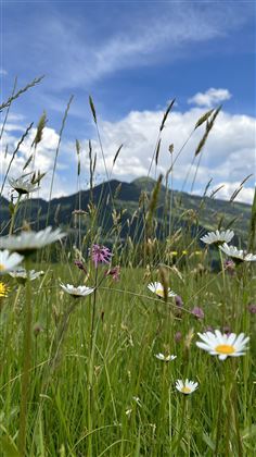 Region ...bei uns