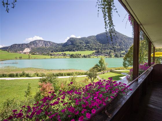 Rosenhof am See direkt am See