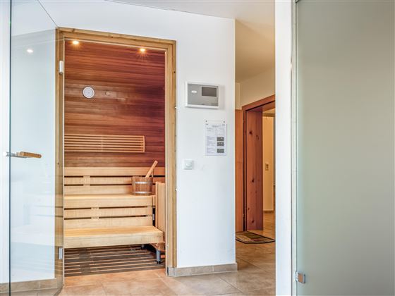 SAUNA-3