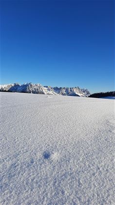 Schneelandschaft