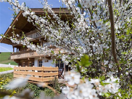 Schneiderhof_Lindenboden_5_Itter_04_2021_aussen_3