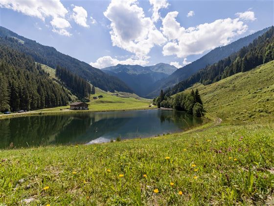 See Kelchsau