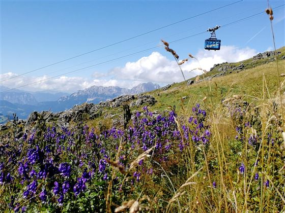 Seilbahn Kitzbüheler Horn