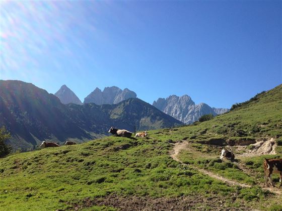 Summertime -Landhaus Kaiserblick