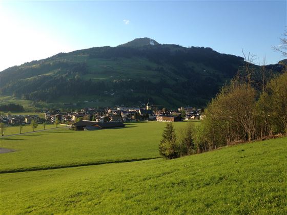 Sommer Aussicht auf unserem Bauernhof