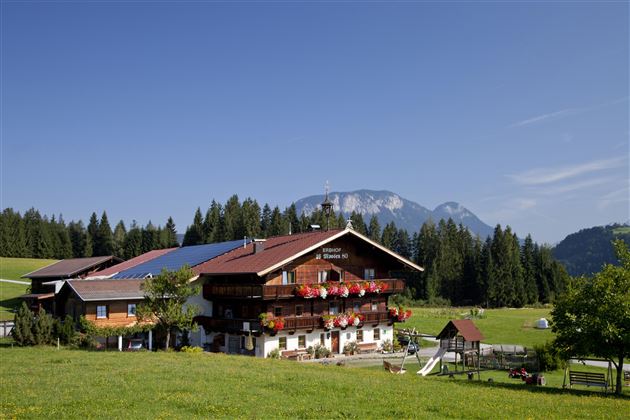 Sommer groß