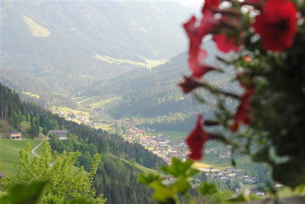 Sommer_Hopfgarten_Siedler_Landschaft (2)