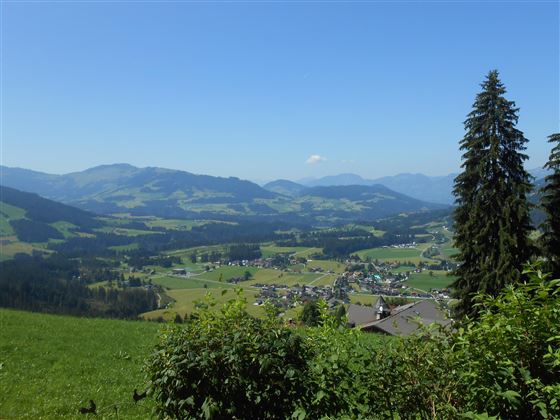 Sommerfoto