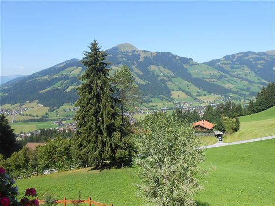Sommerfoto