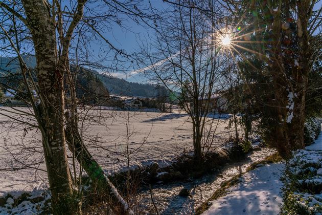 Sonnentalhof Bach Sonne Blick Winter Feratel