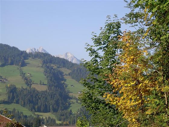 Sonntagsspaziergang, 16.9.07, 4