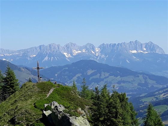 Spießnägel mit Kaisergebirge